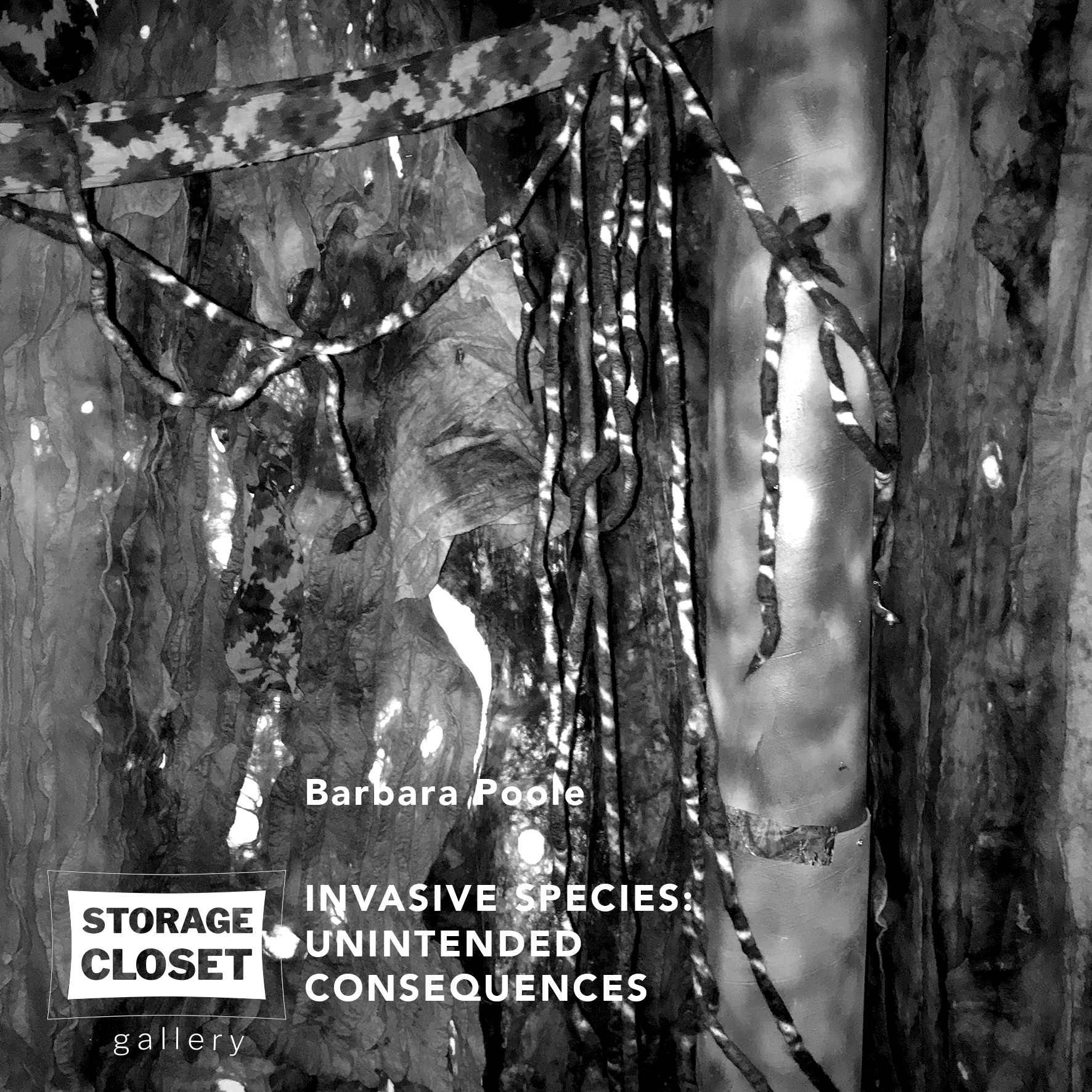 Storage Closet Gallery Barbara Poole